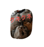 chibow2（個別スタンプ：25）