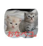 chibow2（個別スタンプ：26）