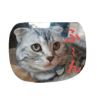 chibow2（個別スタンプ：29）