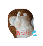 chibow2（個別スタンプ：33）