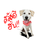 suGon！！！（個別スタンプ：1）