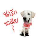 suGon！！！（個別スタンプ：2）