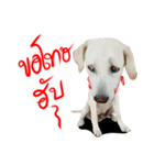suGon！！！（個別スタンプ：6）