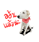 suGon！！！（個別スタンプ：9）
