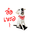 suGon！！！（個別スタンプ：10）