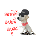 suGon！！！（個別スタンプ：13）