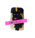 クロのスタンプ(=^x^=)（個別スタンプ：8）