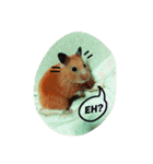 私のハムスターの人生（個別スタンプ：13）