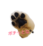 ゴールデンレトリバーのルナ（個別スタンプ：1）