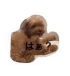 吉田家のもも（個別スタンプ：1）