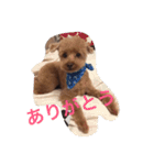 吉田家のもも（個別スタンプ：7）