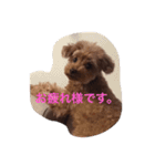 吉田家のもも（個別スタンプ：8）
