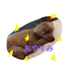 吉田家のもも（個別スタンプ：9）