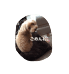 吉田家のもも（個別スタンプ：14）