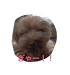 吉田家のもも（個別スタンプ：15）