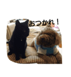 ノアロア（個別スタンプ：16）