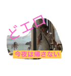 FamilyTree 新小岩（個別スタンプ：14）