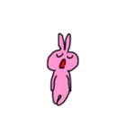 Rabbit Pinio（個別スタンプ：1）