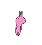 Rabbit Pinio（個別スタンプ：5）