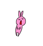 Rabbit Pinio（個別スタンプ：10）