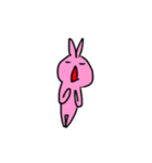 Rabbit Pinio（個別スタンプ：21）