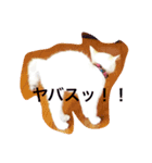 Ame chan（個別スタンプ：2）