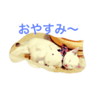 Ame chan（個別スタンプ：3）
