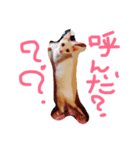 Ame chan（個別スタンプ：5）