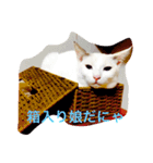 Ame chan（個別スタンプ：6）