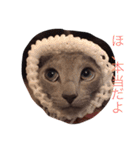 ロシアンブルー テンちゃん（個別スタンプ：39）