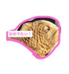 日常で！（個別スタンプ：5）