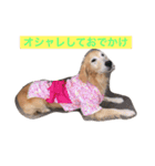 ハンナとくるみ（個別スタンプ：5）