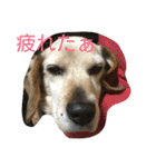 tukushi sticker（個別スタンプ：1）