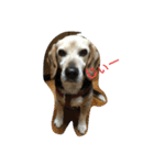tukushi sticker（個別スタンプ：2）