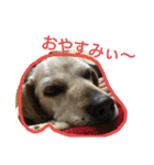 tukushi sticker（個別スタンプ：9）