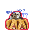 tukushi sticker（個別スタンプ：19）
