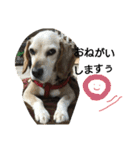 tukushi sticker（個別スタンプ：32）
