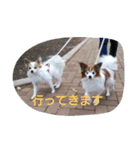 ちたとるうかす（個別スタンプ：4）