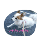 ちたとるうかす（個別スタンプ：8）