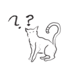 line drawing cat（個別スタンプ：2）