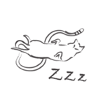 line drawing cat（個別スタンプ：8）