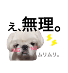 豆田家スタンプ（個別スタンプ：4）