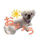 豆田家スタンプ（個別スタンプ：5）