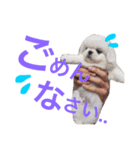 豆田家スタンプ（個別スタンプ：6）