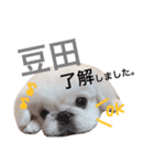 豆田家スタンプ（個別スタンプ：8）
