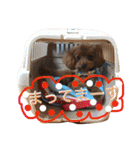 ティノの日常挨拶（個別スタンプ：19）