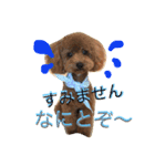 ティノの日常挨拶（個別スタンプ：27）