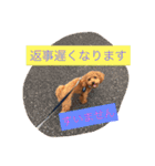 ティノの日常挨拶（個別スタンプ：28）