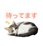 ムラカミ家のりんさん(天使)（個別スタンプ：4）