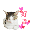 ムラカミ家のりんさん(天使)（個別スタンプ：7）